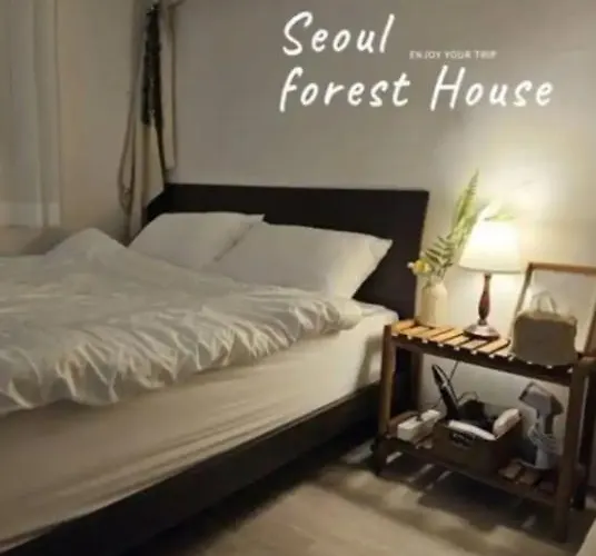Forest House ベッド・アンド・ブレックファスト ソウル特別市